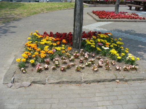 墓園ポケットパーク 花壇開花の様子1