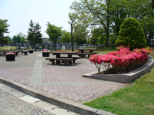 墓園ポケットパーク 花壇開花の様子2