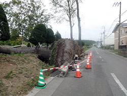 台風10号による影響2